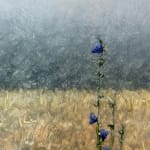 Thomas Sarrantonio, Field Painting July 19, 2021