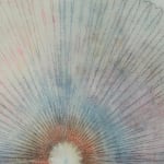 Mary Judge, Exotic Hex Series, 111-07, 2, 2007