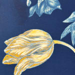Julia Whitney Barnes, Cyanotype Painting (Roses, Snowdrops, Pollinators, etc.), 2021
