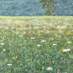 Thomas Sarrantonio, Field Painting July 19, 2021