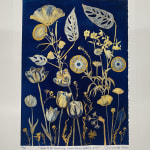 Julia Whitney Barnes, Cyanotype Print (Poppies, Petunia, Fern), 2021