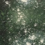 Laura Barr, Moonlit Surfer, 2023