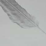 Margot Glass, Dove Feather 2, 2020