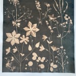 Julia Whitney Barnes, Cyanotype Painting (Poppies, Cosmos, Rose of Sharon Ferns, Queen Anne’s Lace), 2020