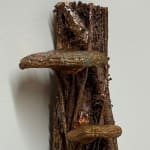 Margot Glass, Lady's Thumb #2, 2024