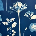 Julia Whitney Barnes, Planting Utopia (City of Peace), 2022-'24