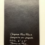 Francine Fox, Chapter Fine Focus, 2012