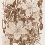 Margot Glass, Spring Beauty (Rokeby Woods) 2, 2025