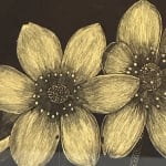 Jackie Battenfield, Late Magnolia Blossom cs2, 2023