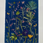 Julia Whitney Barnes, Cyanotype Print (Poppies, Petunia, Fern), 2021