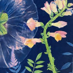 Julia Whitney Barnes, Cyanotype Painting (Giant Hibiscus), 2020