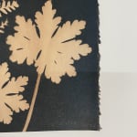 Julia Whitney Barnes, Cyanotype Painting (Tea Toned Gingko, Ferns, Petals, etc.), 2021