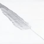 Margot Glass, Dove Feather 2, 2020