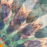Mary Judge, Exotic Hex Series, 111-07, 2, 2007