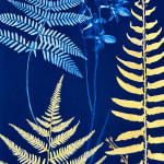 Julia Whitney Barnes, Cyanotype Painting (Roses, Snowdrops, Pollinators, etc.), 2021