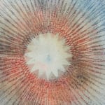 Mary Judge, Exotic Hex Series, 111-07, 2, 2007