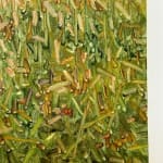 Thomas Sarrantonio, Field Painting July 19, 2021