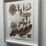 Margot Glass, Lady's Thumb #2, 2024