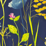 Julia Whitney Barnes, Planting Utopia (City of Peace), 2022-'24