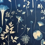Julia Whitney Barnes, Planting Utopia (City of Peace), 2022-'24