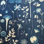 Julia Whitney Barnes, Planting Utopia (City of Peace), 2022-'24