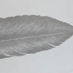 Margot Glass, Dove Feather 3, 2020