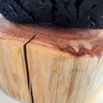 Laura Moriarty, Smoke Signal, 2025