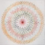 Mary Judge, Exotic Hex Series, 111-07, 2, 2007