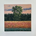 Thomas Sarrantonio, Field Painting July 19, 2021