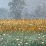 Thomas Sarrantonio, Field Painting July 19, 2021