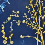 Julia Whitney Barnes, Cyanotype Painting (Roses, Snowdrops, Pollinators, etc.), 2021