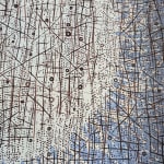 Catherine Latson, Specimen 43, 2025