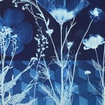 Julia Whitney Barnes, Cyanotype Painting (Poppies, Cosmos, Rose of Sharon Ferns, Queen Anne’s Lace), 2020