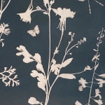 Julia Whitney Barnes, Cyanotype Painting (Tea Toned Clematis, Queen Anne's Lace, Forget Me Nots, etc.), 2021