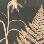 Julia Whitney Barnes, Cyanotype Painting (Tea Toned Orchids, Snow Drops, Forget Me Nots, etc), 2021