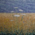 Thomas Sarrantonio, Field Painting July 19, 2021