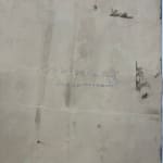 Julia Whitney Barnes, Cyanotype Painting (Roses, Snowdrops, Pollinators, etc.), 2021