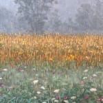 Thomas Sarrantonio, Field Painting July 19, 2021
