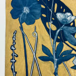 Julia Whitney Barnes, Cyanotype Painting (Roses, Snowdrops, Pollinators, etc.), 2021
