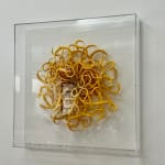 Catherine Latson, Specimen #19, 2020