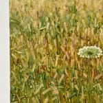 Thomas Sarrantonio, Field Painting July 19, 2021