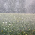 Thomas Sarrantonio, Field Painting July 19, 2021
