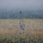 Thomas Sarrantonio, Field Painting July 19, 2021
