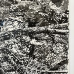 Daniel Anselmi, Untitled (7-14), 2024