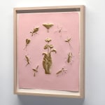 Daniel Anselmi, Untitled (7-14), 2024