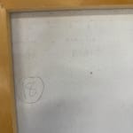 Additional Inventory, Lucy Fradkin, Untitled Pink Background