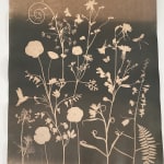 Julia Whitney Barnes, Cyanotype Painting (Tea Toned Poppies, Ferns, Magnolia, Pollinators etc.), 2021