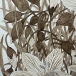 Margot Glass, Spring Beauty (Rokeby Woods) 2, 2025