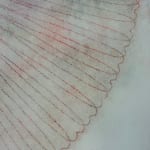 Mary Judge, Exotic Hex Series, 111-07, 2, 2007