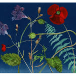 Julia Whitney Barnes, Nocturnal Nature (Poppies, Petunia, Fern), 2020-'21